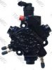 TEAMEC 874 828 High Pressure Pump